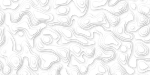 Abstract geometric layered curve line white background. 3d white papercut topography relief. Cover layout template. paper cut topography soft background banner texture. light liquid wave illustration.