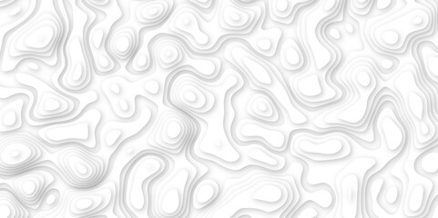 Abstract geometric layered curve line white background. 3d white papercut topography relief. Cover layout template. paper cut topography soft background banner texture. light liquid wave illustration.