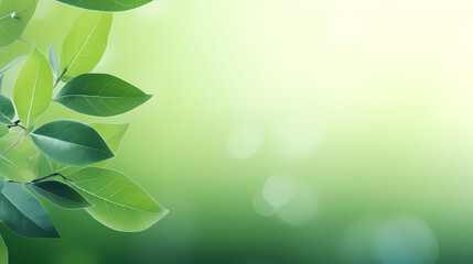 Obraz premium Spring season, vibrant green background