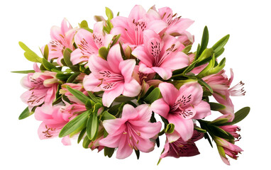 Bouquet of Pink Alstroemeria Flowers Isolated on Transparent Background PNG.