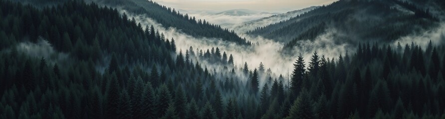 Foggy woodland with tall trees against mist-covered mountains. Natural scenery, forest landscape, outdoor adventure, website header with copy space. Generative AI