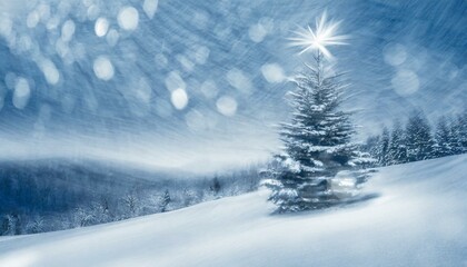 Fototapeta premium 雪の中輝くもみの木
