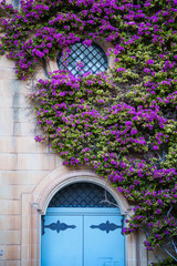 House with wooden door and colorful flowers