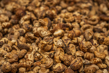 Assorted Dried Medicinal Chinese Herbs Close-Up