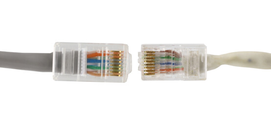 Network cables with molded RJ45 plug on transparent background (PNG File)	
