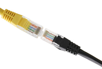 Network cables with molded RJ45 plug on transparent background (PNG File)	

