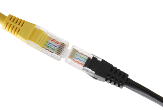 Network cables with molded RJ45 plug on transparent background (PNG File)	
