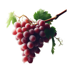 Fototapeta premium Red grape with leaves isolated on transparent background Ai generative.
