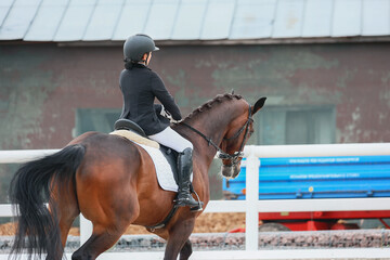 impulsion of dressage. Equestrian sports, dressage. Shooting from the back