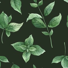 Fototapeta na wymiar Watercolor seamless pattern with juicy, spicy mint on a dark green background. Illustration is hand drawn, suitable for menu design, packaging, poster, website, textile, invitation, brochure