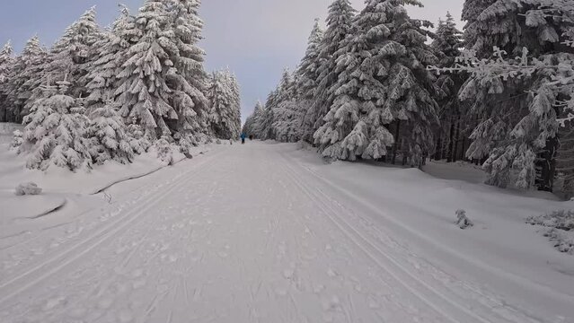 Skilanglauf auf der Loipe im Th&uuml;ringer Wald