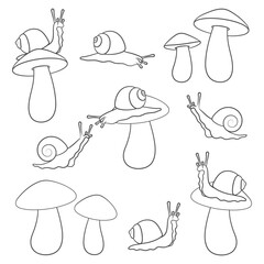 Set of black and white illustrations with snails and mushrooms. Isolated vector objects on white background. - 733246402