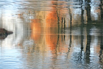 Obraz premium Mirrored River