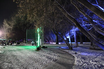 night in the city, Sir Wilfrid Laurier Park, Edmonton, Alberta
