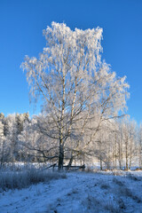 Beautiful colorful autumn landscape in Skaraborg Sweden