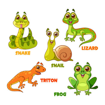 Cartoon Reptile Characters Isolated Vector Set. Snail, Snake, Triton, And Frog With Lizard Cute And Funny Personages