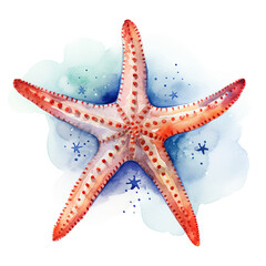 This image features a vibrant starfish with a distinct pattern, digital watercolour on white background, highlighting its intricate details. - 733250668