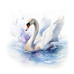 Majestic white swan bathing gracefully in sunlit Waters. Digital watercolour painting on white background.