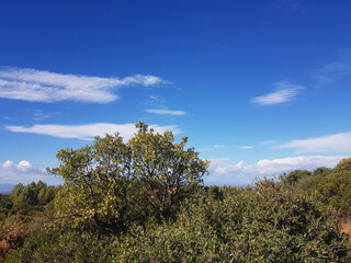 Obraz premium Paesaggio