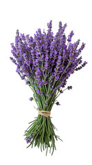 A Bunch Of Lavenders