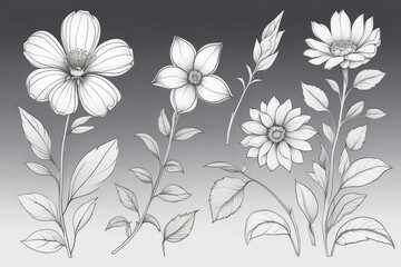 outline drawings of flowers for the coloring page