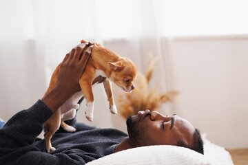 Young african american man having fun with chihuahua dog in bedroom