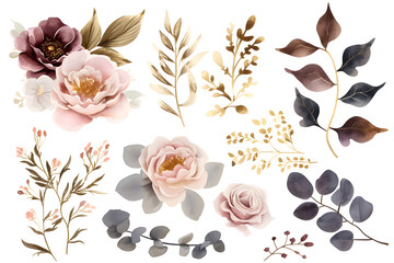 Design elements dusty pink and gold flowers, leaves, eucalyptus, branches Watercolor set