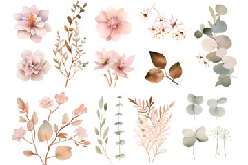 Design elements dusty pink and gold flowers, leaves, eucalyptus, branches Watercolor set