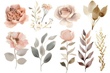 Design elements dusty pink and gold flowers, leaves, eucalyptus, branches Watercolor set