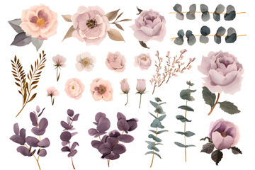 Design elements dusty pink and gold flowers, leaves, eucalyptus, branches Watercolor set
