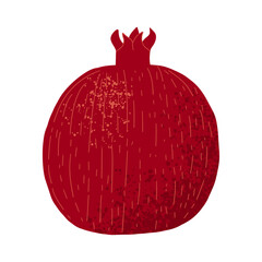 Natural fruit pomegranate with texture. Vector illustration in hand draw style.