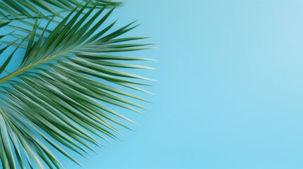 Fototapeta premium Minimal product placement background with palm shadow on blue wall.