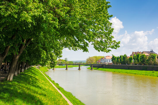 uzhhorod, ukraine - 06 may 2017: longest linden alley in europe. beautiful cityscape of the downtown with river and pedestrian bridge in the distance on a sunny day in spring
