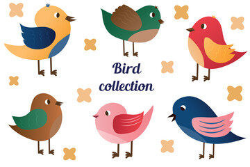 Set of spring birds. Vector cartoon illustration in childish style. Different birds. Images are isolated on white.