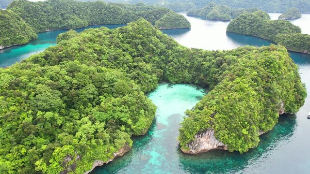 The green islands of the Palau