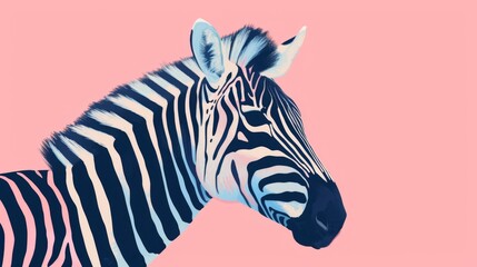 Black and white minimal illustration of a zebra in vector style. Animal art. Simple colors and contours on pink background.