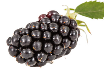 Berries of blackberry, lat. Rubus fruticosus, isolated on white background