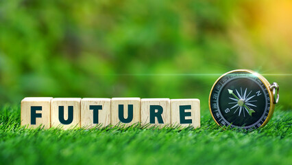 Word FUTURE on wooden cubes with gold compass on green grass over blur nature background with...