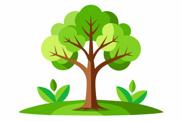 Vector green tree isolated on white, green tree clipart