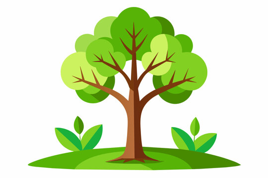 recommend clip art: Vector green tree isolated on white, green tree clipart
