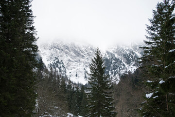 Tatry spowite mgłą zimową porą