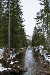 Widok na tatrzański potok w zimie