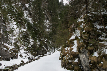 Tatry, szlak do doliny Kościeliska w zimie