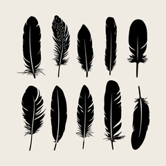Feather black silhouette. Hand sketching feather icons and vector illustration  © Mst