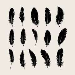 Feather black silhouette. Hand sketching feather icons and vector illustration
 - obrazy, fototapety, plakaty