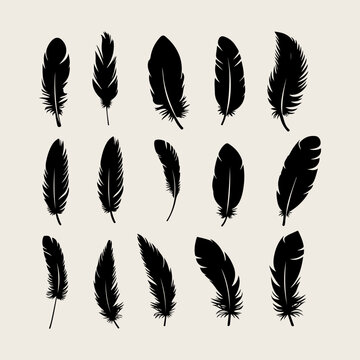 Fototapeta Feather black silhouette. Hand sketching feather icons and vector illustration 