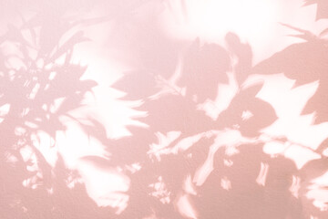 Leaf shadow and light on wall pink abstract background. Nature tropical leaves shadows sunshine of plant shade sunlight on white wall texture, rose gold color shadow overlay effect foliage mockup