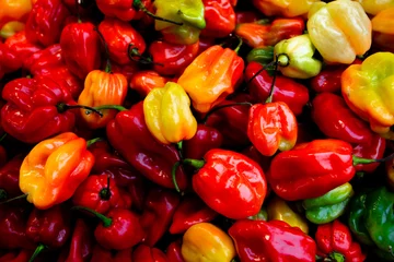 Keuken spatwand met foto Colorful paprika or pepper chili background. © mubus