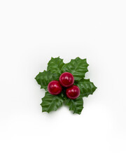 Holly berry isolated on white background