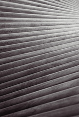 Black and white abstract background from wooden panels.
